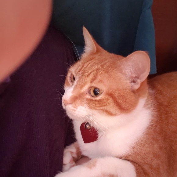 Meet your Posher, Kimberly - Picture 2 of 4